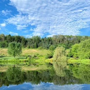 Quiet pond is the perfect place for a glass of wine!