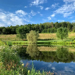 Porchvue pond