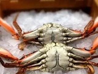 Tommy's Seafood