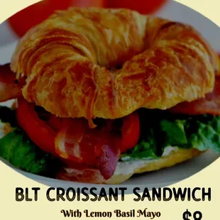 a croissant sandwich on a plate