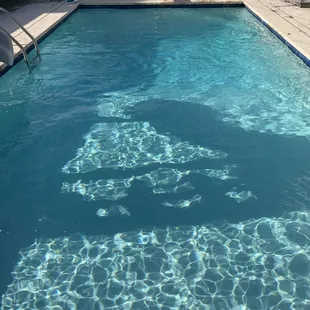 Pool all cleaned up ...