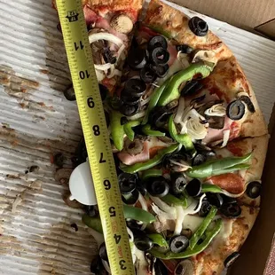 This is supposed to be a large 14". Medium size is usually 12". Large cost $32