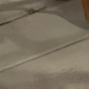 Mickey !!!! Looking for dinner...   Sorry buddy!!! If I got mine, maybe I would have shared!