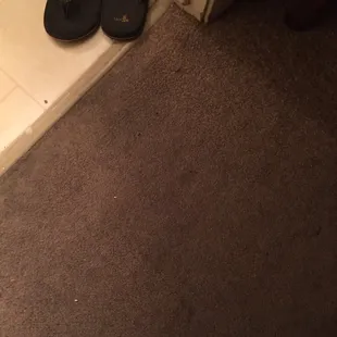 Is this supposed to be a vacuumed clean carpet!? Took this as soon as we arrived. Black bugs, squishy when we walked on it and stunk!