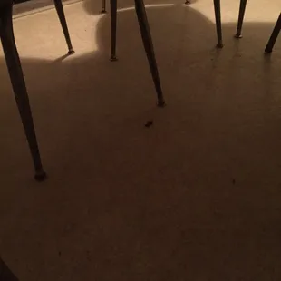 Dead cockroach under table. The table was dirty and had tape holding parts of the chair together