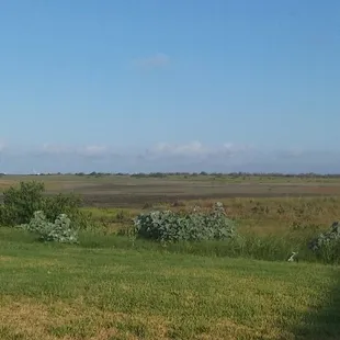 Property butts up against the wildlife preserve - so quiet and peaceful with an amazing breeze the whole time!
