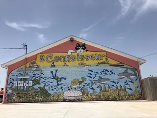 Connoisseur