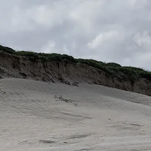 Shifting sands Love to see the sand blowing and moving