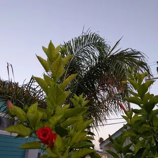 Good morning from Pot Aransas
