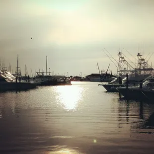 Sunset at the marina