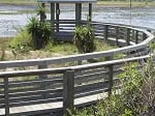 Wetland Park