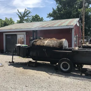 a horse in the back of a truck