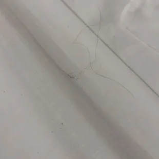 Female hair on linens upon check in