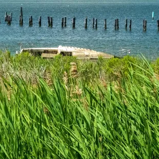 Port Messick Marina