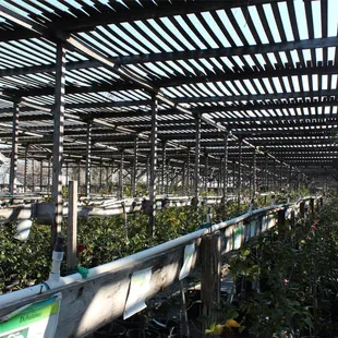 This place is massive