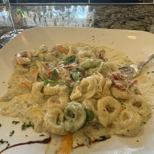 Tortellini at the bar