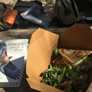 Half sandwiches, turkey and cheese on marbled rye, stacked atop one another, side salad