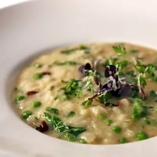 Risotto