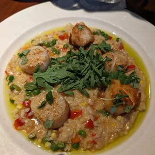 Sea Scallops