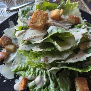 Baby Gem Caesar