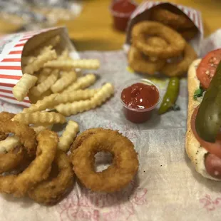 Chicago style hot dog, onion rings and fries