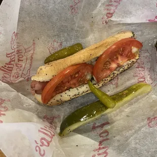 Chicago Dog