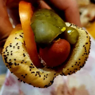 a person holding a hot dog