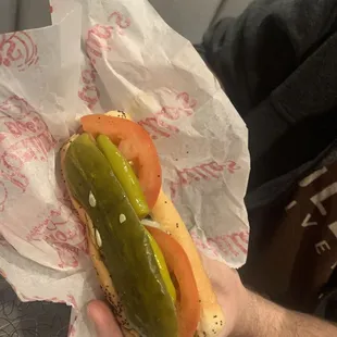 Chicago Dog