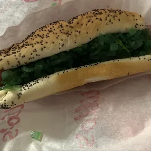 Plain Hotdog
