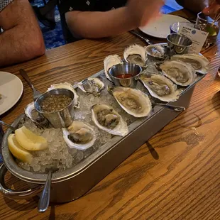 Oysters