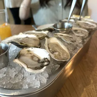 Oysters