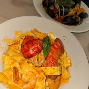 Papardelle Pasta Special