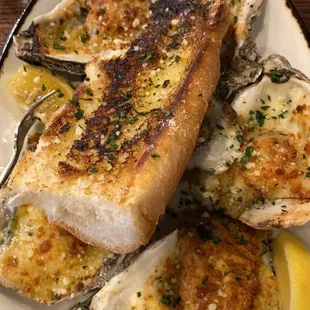 Oysters