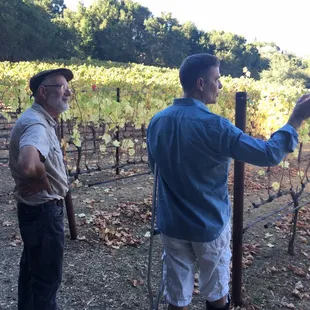 Touring the vineyard.