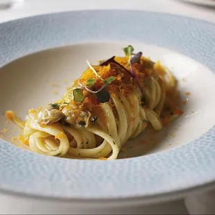 a closeup of a pasta dish