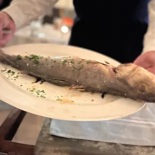 Branzino