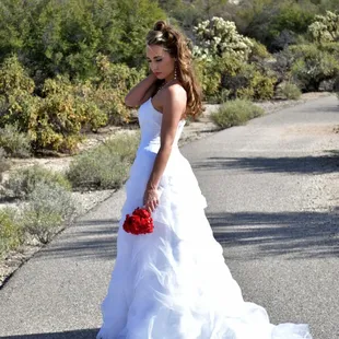 Bridal pictures, Great prices!!!!! Call us now!!!