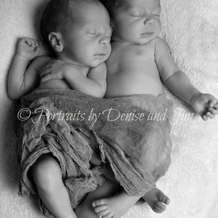 Newborn shoots, call for more details..