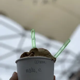 a hand holding a cup of gelato