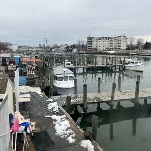 Cambridge creek