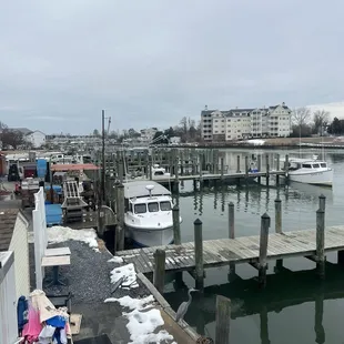 Oysters , crabs, and fish from the boats from the surrounding waters of Chesapeake Bay and Atlantic Ocean in Dorchester county.
