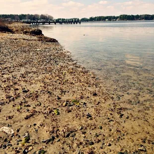 When the tide is low, you can walk along the shore. So much fun to explore.