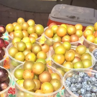 Scuppernongs and Blueberries