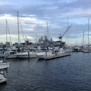 View from the beer tents