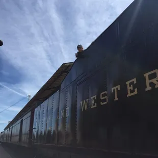 Checking out the coal tender.