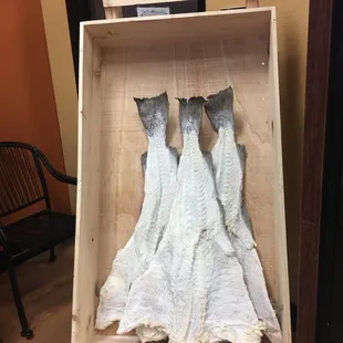 Salted Cod