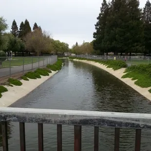 View from one of the bridges