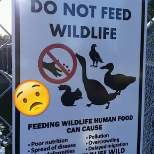 Can&apos;t feed the ducks anymore :(