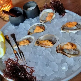 Dressed Oysters