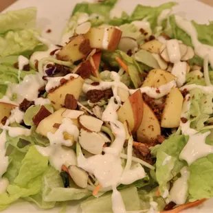 A variety of salad choices available for a light lunch.